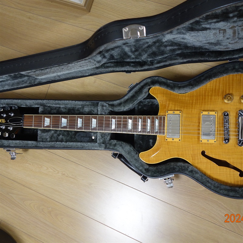 HAMER USA Artist customの画像